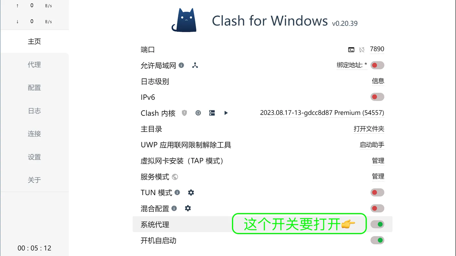 clash-for-windows-配置教程-打开系统代理-Clash下载站-教程示意图